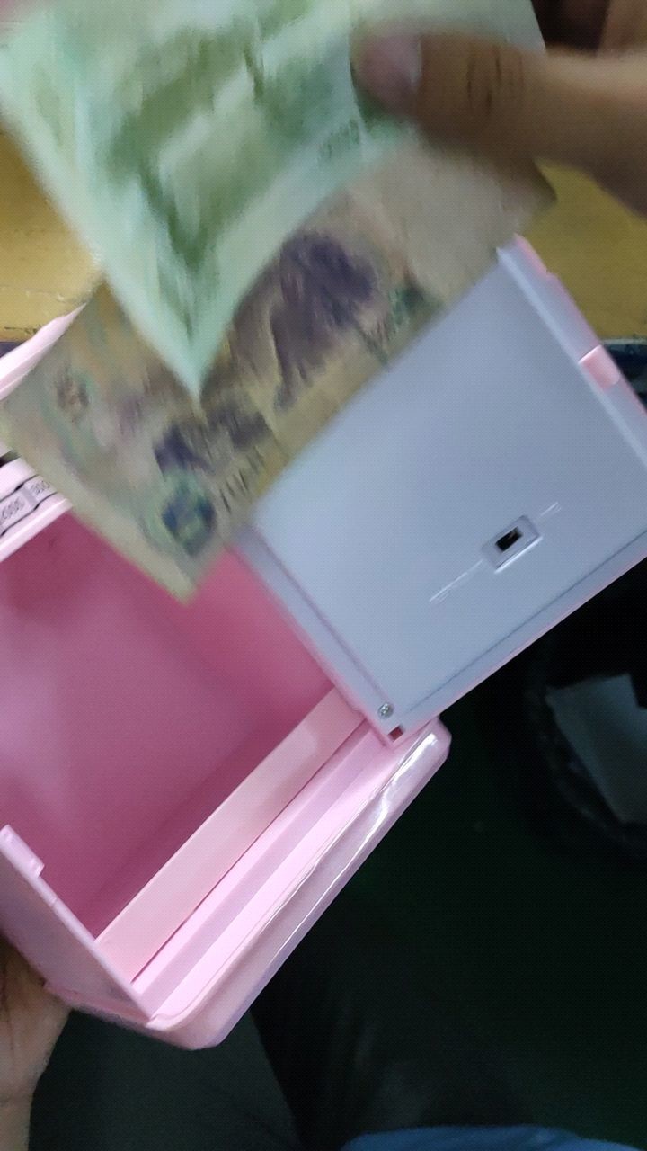 2 color Password Piggy Bank