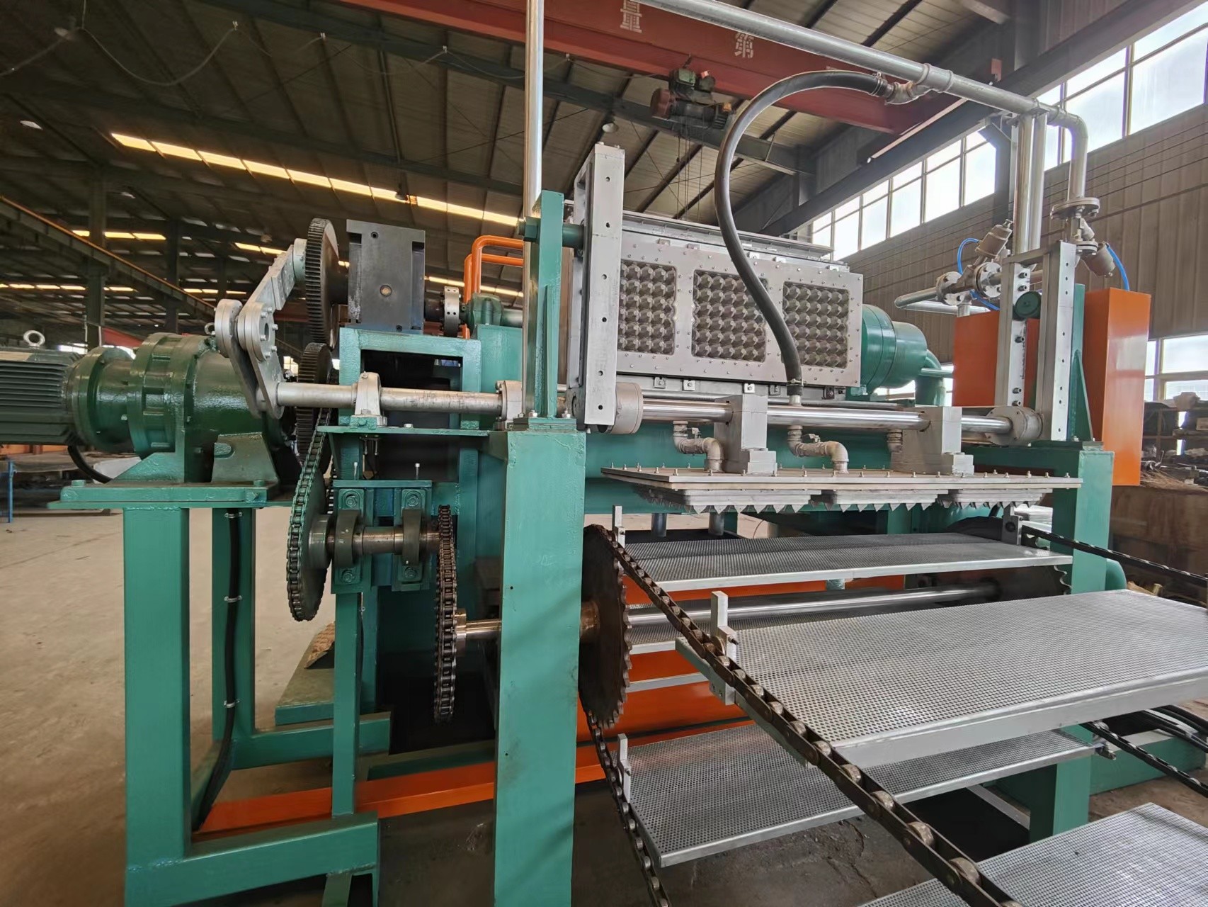 Efficient Apple Tray Making Machine With Frequency 50HZ For Smooth Production