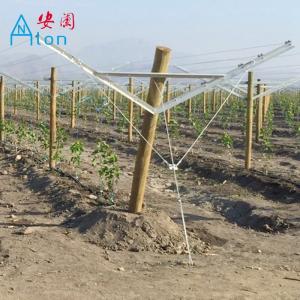  Recyclable Orchard Trellis Systems Provides Complete Control Trellis Wires Manufactures