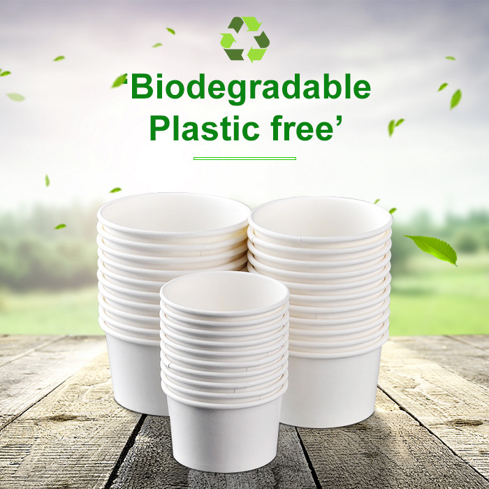 Nano Coated Biodegradable Food Packaging Materials 200gsm For Drink Cup