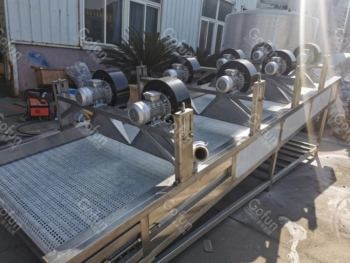 220V SUS304 Mango Juice Processing Line Destoning Removing