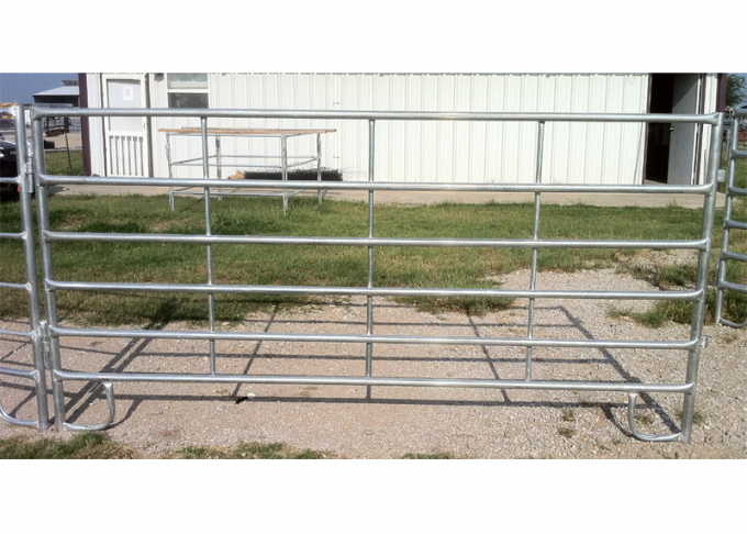Haisen Horse Corral Panels Powder Coated 6 Bars Cattle for Famr and Yard