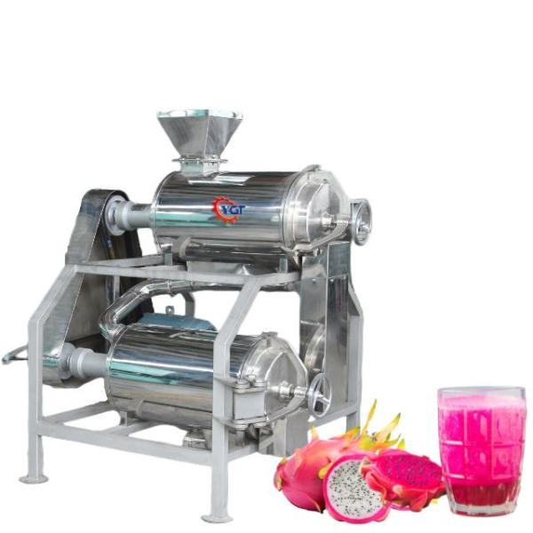 Complete Passion Fruit Processing Line Customized Passion Fruit/Pitaya/Guava