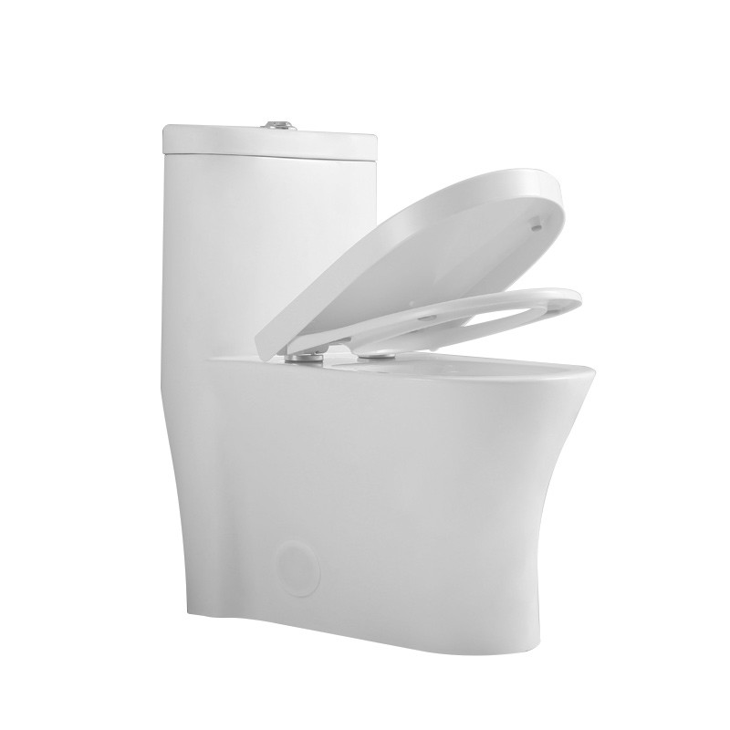 Commercial Ada Bathrooms Toilets For Physically Handicapped Challenged Person