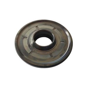 Oil Seal With Rubber Exterior In NBR With One Seal-Lip One Dust Lip And Spring