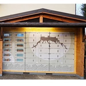 24 Hours Self-Service Smart Automatic Refrigerated Self Pick-Up Locker With Cooling System