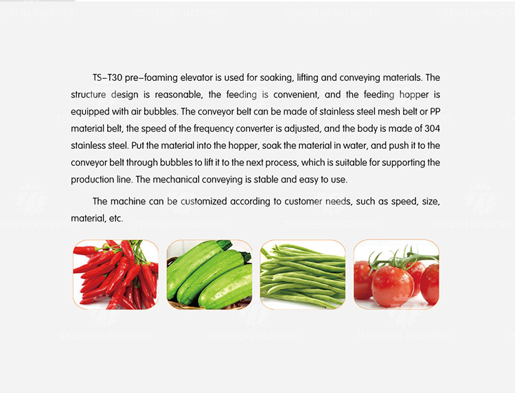 2pcs/Min Industrial Vegetable Processing Machine Automatic Elevator Food Conveying