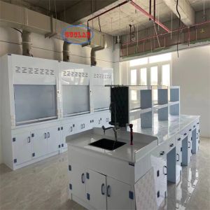 Safe and Efficient Chemical Fume Hood Lab Fume Cupboard for 1 Year with Microcomputer Control System