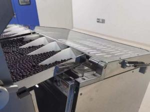  1-24mm High Speed Softgel Capsule Sorting Machine 6 8 10 12 Channel Manufactures