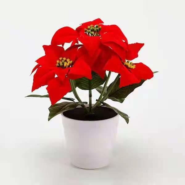 Ip65 Cri70 3years warranty 110lum 3pcs Led Solar Flower Lights