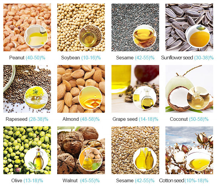 Sunflower Small Scale Oil Cold Press Machine Automatic Mustard Oil Pressers