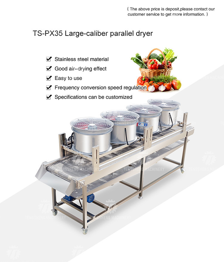 350KG Vegetable drain air drying machine stainless steel fruit and vegetable air drying complete equipment parallel type
