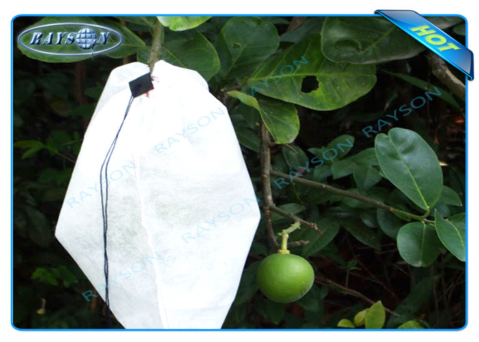 PP Non Woven Landscape Fabric with Anti-UV Masterbatches Used as Land Coverings or Plant Bags