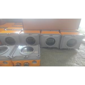 ATEX Duct Air Flow Speed Transmitter with 316LSS Compatibility and Customized