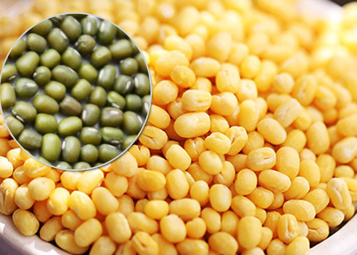 Chinese Dried Green Mung Bean Natural Agricultural Products Ingredients