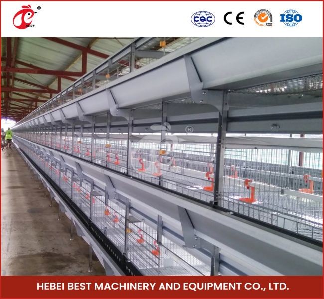 New Generation Poultry Battery Cage System With H Type Automatic Design Sandy
