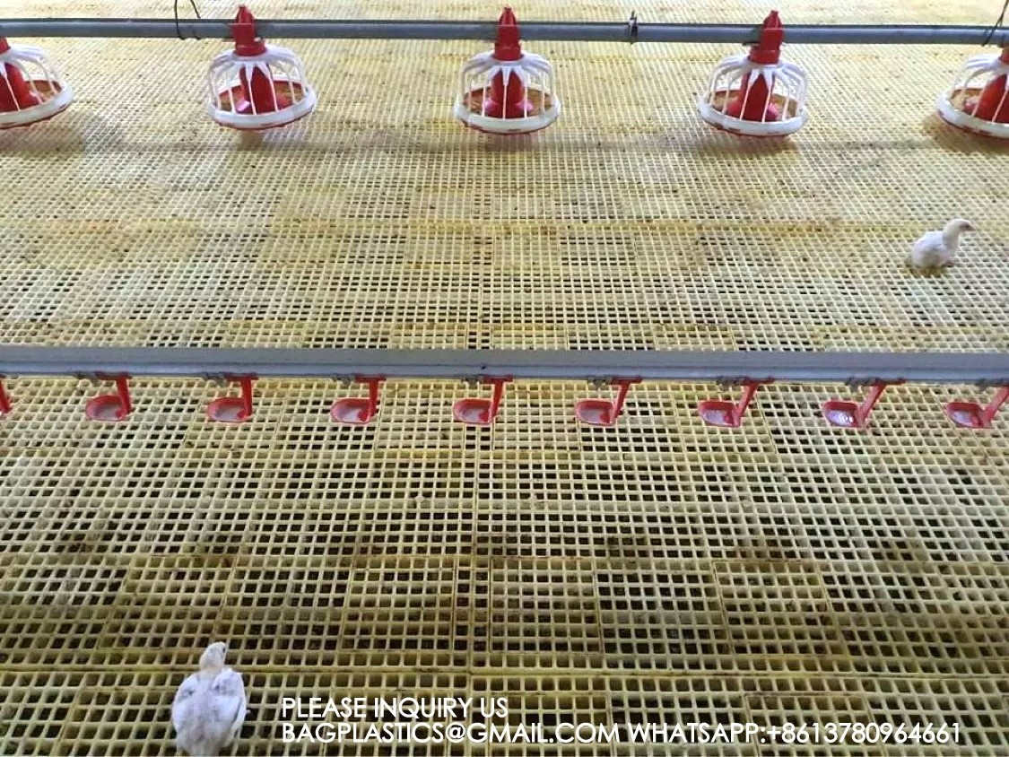 Poultry Farm Equipment Chicken House Animal Feeder Galvanized Automatic Chicken Feeder