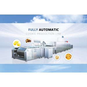 PD400 CE Certification Hot Sale Wire Cutting Cookies Making Machine Customized