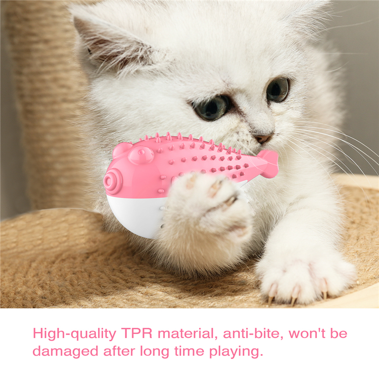 New Cute Pet Cat Toothbrush Toy Catnip Flavor Silicone Simulation Fish Molar Stick Tooth Cleaning Toy Toothbrush