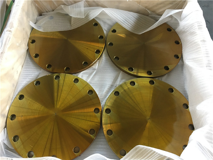 10A Pipe Blind Flange Jis B2220 5k 10k 16k 20k 30k 40k Ss400