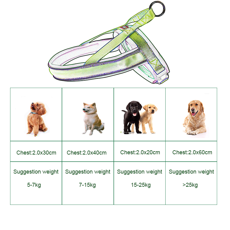 Nylon Adjustable Light Up Led Dog Harness Rechargeable Soft Outdoor Flashing