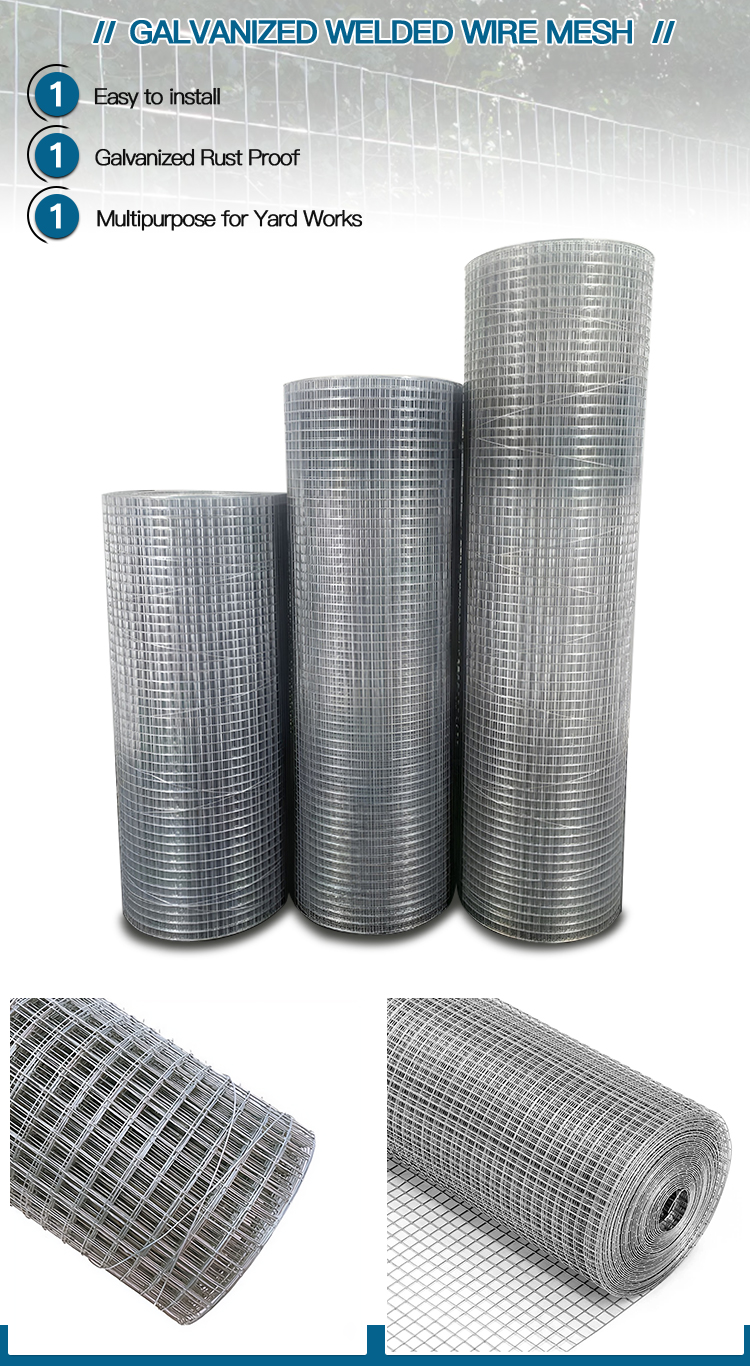 Electro Galvanized Welded Wire Mesh for Concrete Reinforcing 5.5x5.5 at Competitive