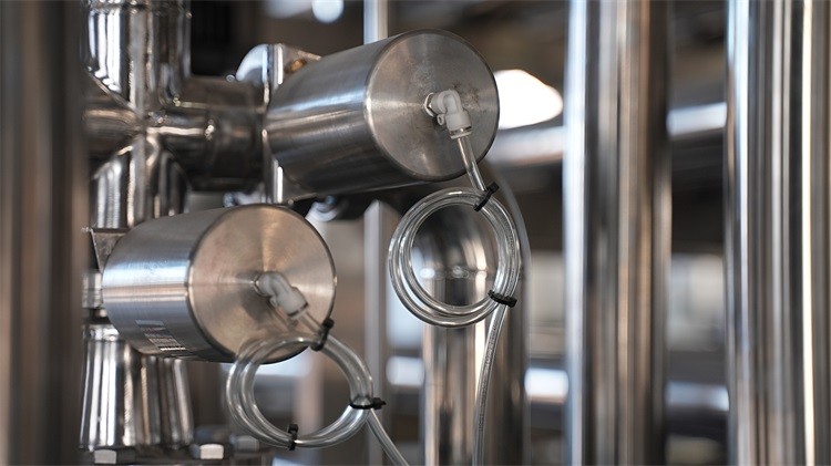 Stainless Steel Mango Processing Line for Reliable and High Capacity Production