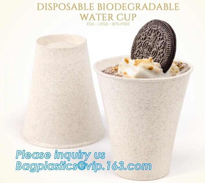 Meal Prep Containers Free Sample Bento Lunch Box Biodegradable Food Container Plastic Wheat Straw Lunch Box bagplastics