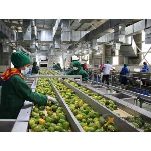Raw Fruit Mango Juice Processing Line Sterilizing 10T Per Day