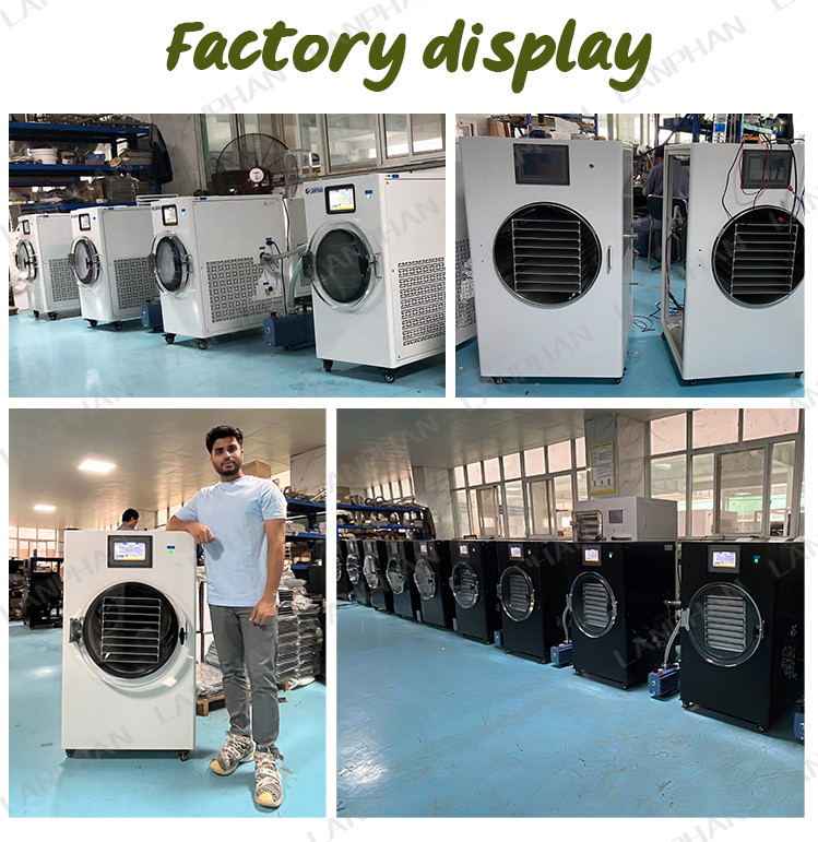3M2 Lanphan Candy Cake Freeze Dryer Machine Fruit Vegetable Freeze Drying Lypholizer Machine