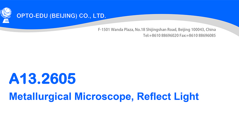 WF10x/18 Eyepiece Halogen Lamp Microscope Trinocular Metallurgical Microscope