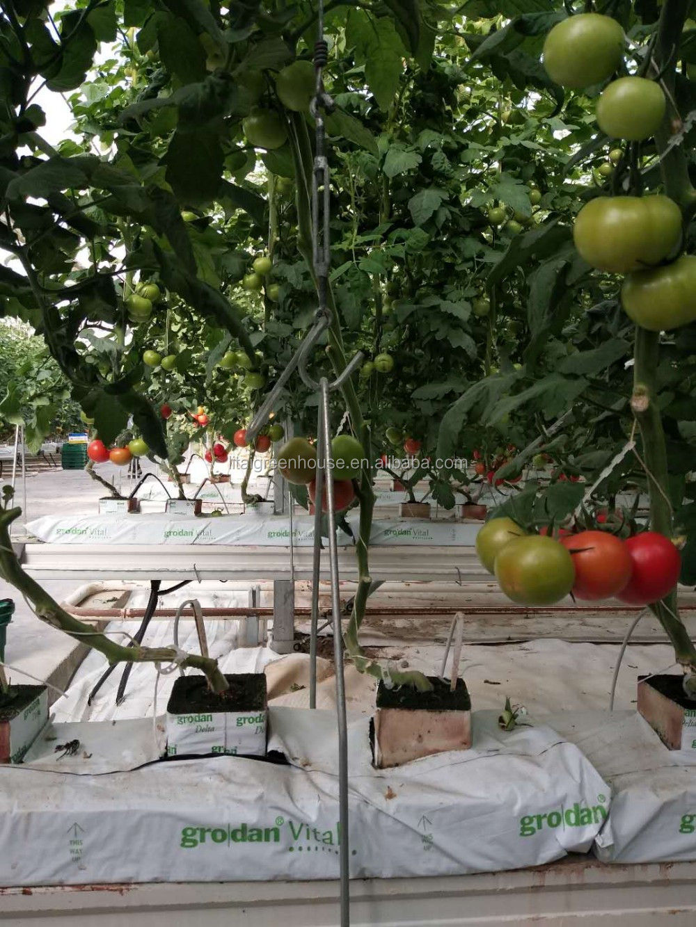 PE Material Hydroponic Vegetable Vertical Farming Groove System for Easy and Planting