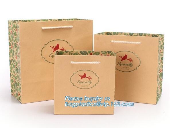Luxury Paper Gift Carrier Shopping Bag Party Bag with Handles,printed paper carrier bag for apparel shopping bag, bageas