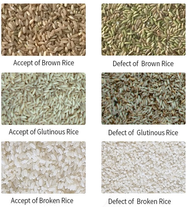 Manufacturer Flax Seed Sorting Machine Sesame Seeds Color Sorter Agricultural Equipment