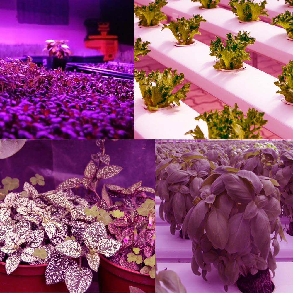 Waterproof 625nm 265V Plant Growth Light