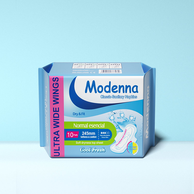 Customized Packaging Disposable Sanitary Napkins 3D Leak Guard Anion Sanitary Pad