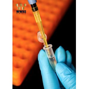  NT-ProBNP Rapid Test Kit Fluorescence Immunoassay Cardiac Testing Manufactures