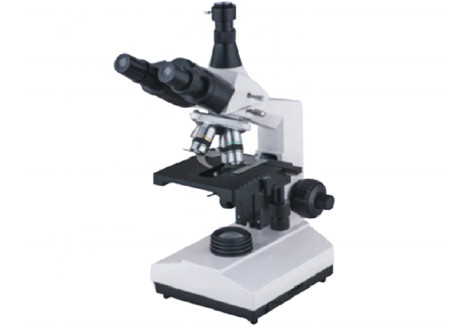 Trinocular WF10X 1600X Inverted Biological Microscope Compound Halogen Lamp 6V