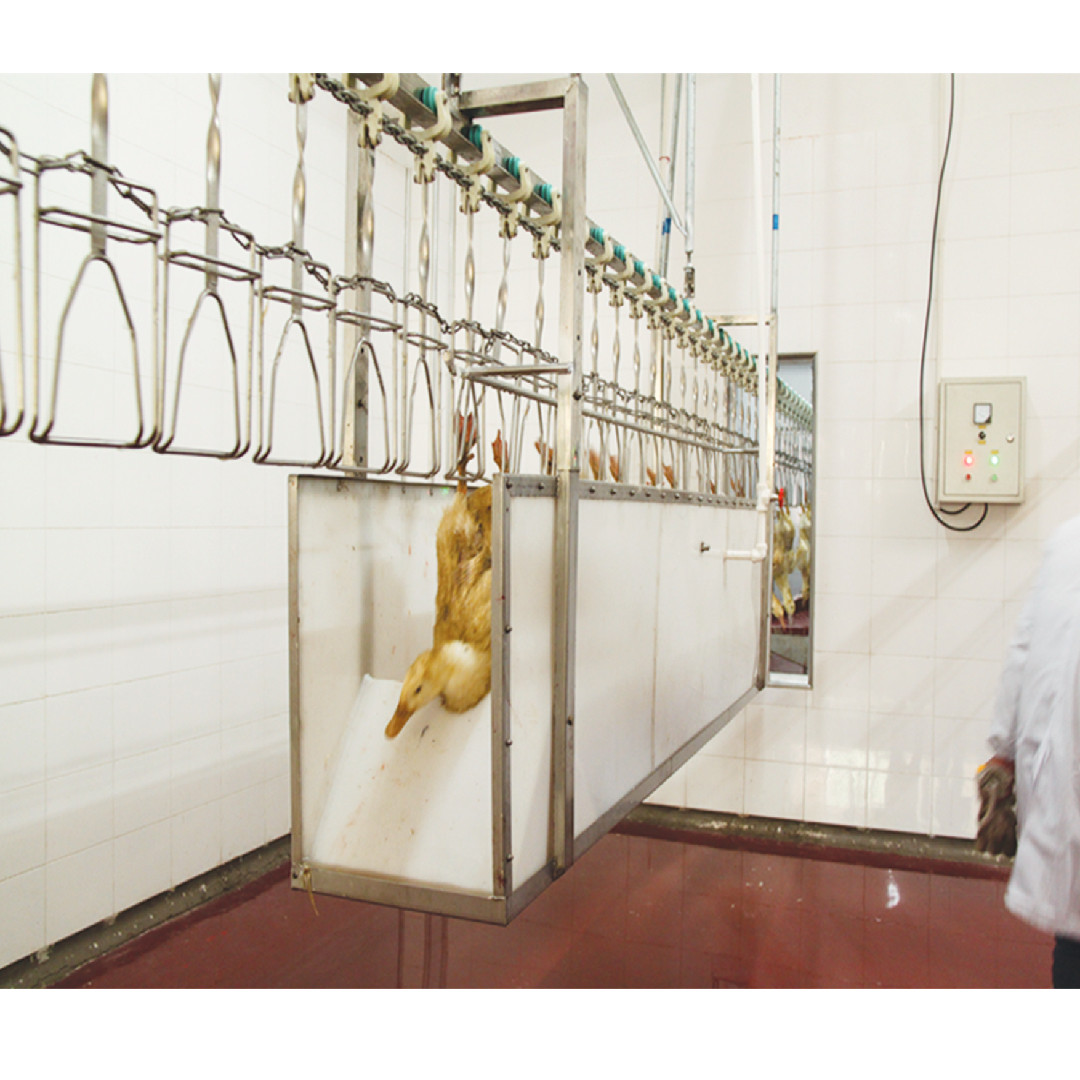 2000bph China Automatic Chicken Processing Plant New Condition Slaughtering Equipment Made of Steel Farm Poultry Slaughter Line
