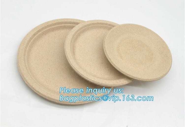 Meal Prep Containers Free Sample Bento Lunch Box Biodegradable Food Container Plastic Wheat Straw Lunch Box bagplastics