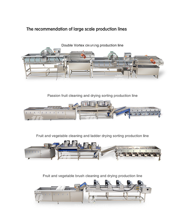 Stainless Steel Fruit And Vegetable Processing Line Potato Picking Hair Roller Bubble Washing Machine
