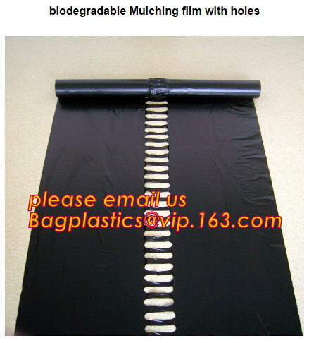 Multi-Span Plastic Film Cover Natural Ventilation Vegetable Greenhouse,Greenhouse Kits Plastic Greenhouse 200 micron gre