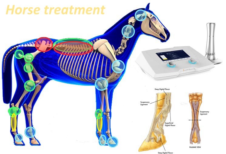 High Pressure Adjustable 1-22Hz Shockwave Machine For Horse Treatment