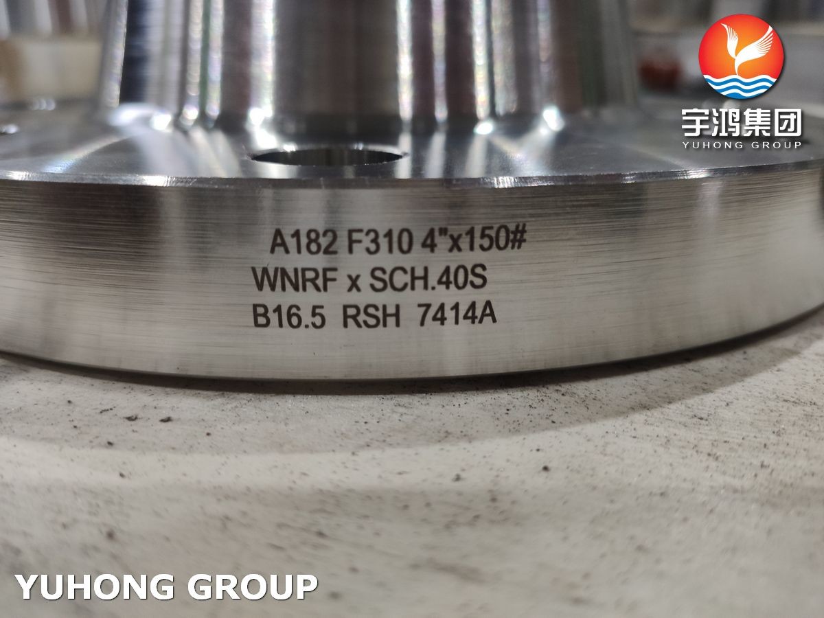 Stainless Steel Flanges A182 F310 B16.5 S31000 WN BL FLANGE