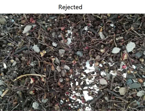 3.0 kw Effective Algorithm Spice Color Sorter