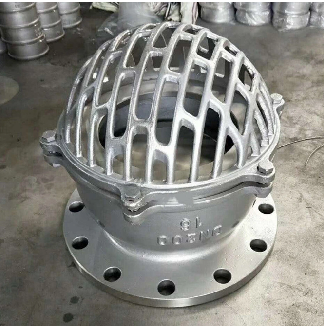 Stop Structure Flange End Ductile Cast Iron Accessory Suction Foot Valve for Performance