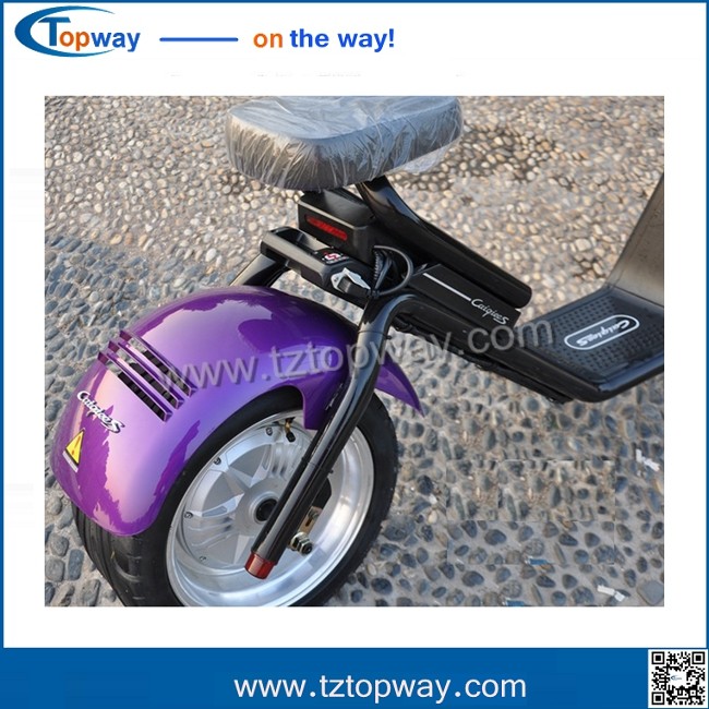 disk brake Fat tire Adult citycoco electric scooter skateboard