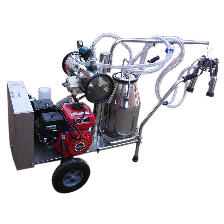 Portable 2 Buckets Cow Milking Machine For dairy industry