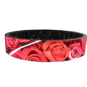 P5 Inside Curved Led Screen Arc Front Access Full Color Smd 3 In 1