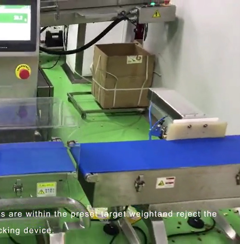 120WPM 100 Bags/ Min High Speed Check Weigher With Pusher
